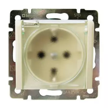 Розетка Legrand Valena с/з, с крышкой IP44 слоновая кость