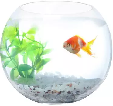 Аквариум круглый 7л