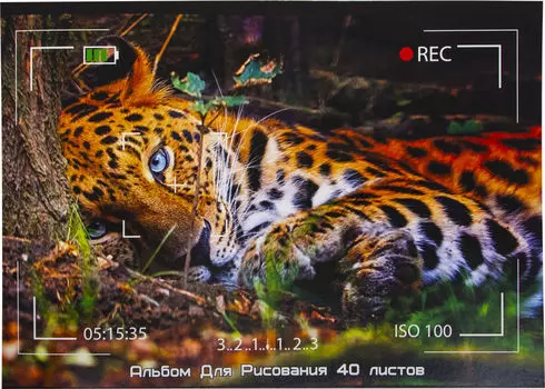 Альбом для рисования Action! Спорткары 40 листов в ассортименте