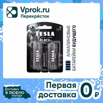 Батарейки алкалиновые Tesla Black+ D 2штс доставкой!