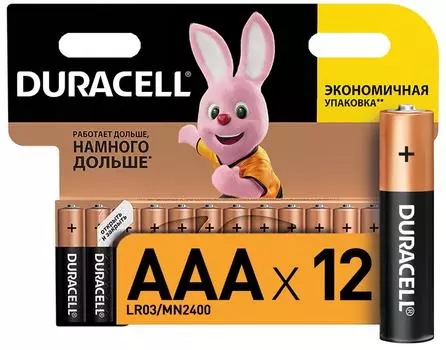 Батарейки Duracell Basic AAA 12шт