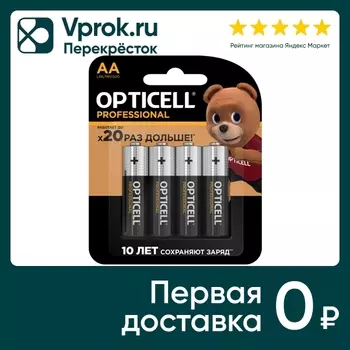 Батарейки Opticell Professional AA LR6 4штс доставкой!