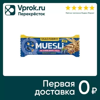 Батончик Snaq Fabriq Черника-Мюсли 40г. Закажите онлайн!
