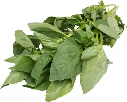 Базилик Маркет Перекресток зеленый 50г упаковка