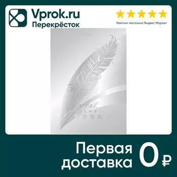 Бизнес-блокнот Hatber Silver book в клеточку 80л А4