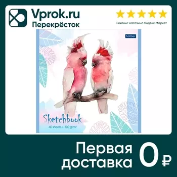 Блокнот Hatber Premium SketchBook Нежная акварель 40л А5