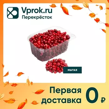 Брусника Ягоды Карелии свежая 250г упаковкас доставкой!