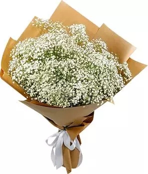 Букет Гипсофила Белая 3 шт