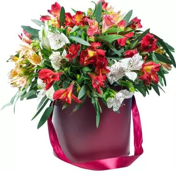 Букет Альстромерии 25шт микс в шляпной коробке