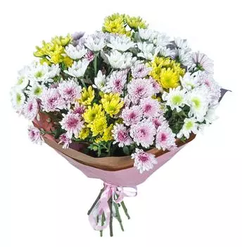 Букет Кустовые хризантемы 15шт микс