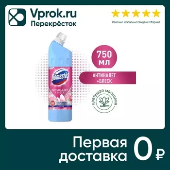 Чистящее средство Доместос Универсальное антиналет и блеск Цветущая магнолия 750мл