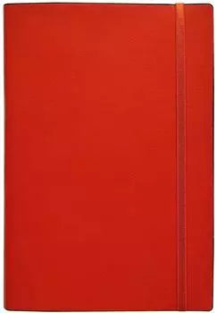 Ежедневник Infolio Clear мягкий переплет 192стр 140*200мм