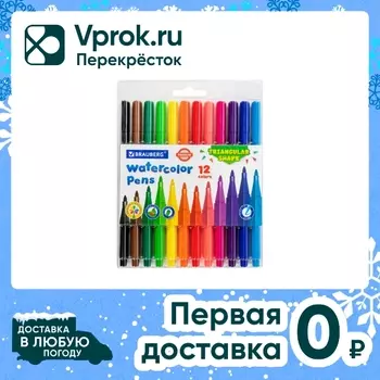 Фломастеры Brauberg Premium трехгранные 12 цветов