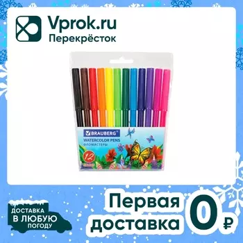 Фломастеры Brauberg Wonderful butterfly 12 цветов