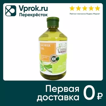 Гель для душа Herbal&Berries by Modamo Увлажняющий с экстрактом алоэ вера 500мл