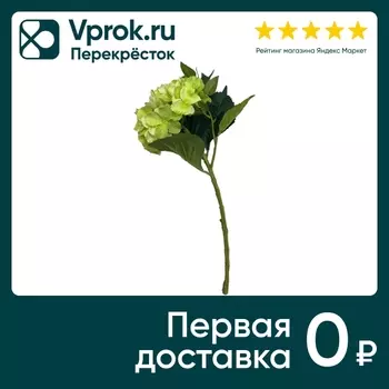 Гортензия зеленая 35см - Vprok.ru Перекрёсток