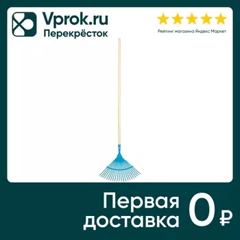 Грабли веерные Palisad Luxe стальные 22 плоских зуба 43*155cм