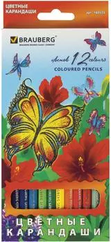 Карандаши цветные Brauberg Wonderful butterfly 12 цветов