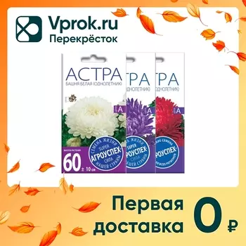 Комплект семян Агроуспех Астра Башня белая + Астра Башня красная + Астра Башня синяя 3шт