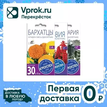 Комплект семян Агроуспех Бархатцы Купидон + Сальвия Скарлет + Цинерария Приморская 3шт