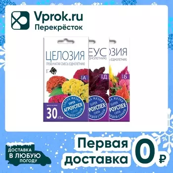 Комплект семян Агроуспех Колеус Блек Дрегон + Целозия Гребенчатая + Целозия Метельчатая 3шт