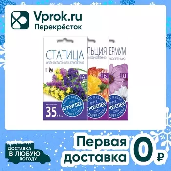 Комплект семян Агроуспех Остеоспермум Небо и лед + Статица Мечта флориста + Эшшольция Махровый карлик 3шт