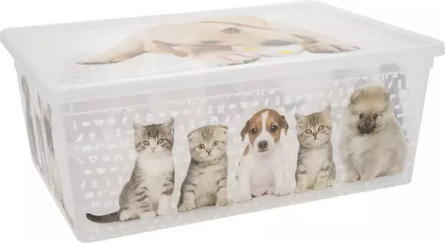 Контейнер Qutu Cats and Dogs для хранения 10л