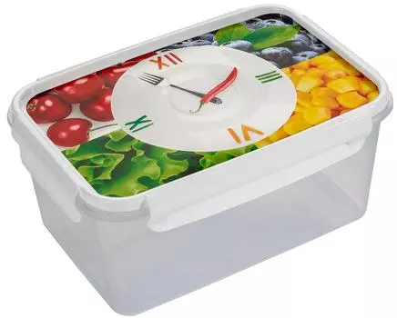 Контейнер Violet Ланч герметичный 1.6л