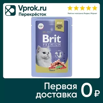 Корм для кошек Brit Premium форель в желе 85г (упаковка 14 шт.)