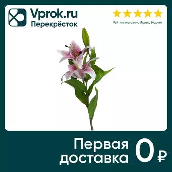 Лилия розовая 75см - Vprok.ru Перекрёсток