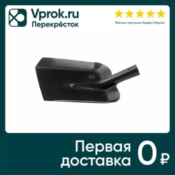 Лопата совковая без черенка 23*28см. Доставим до двери!