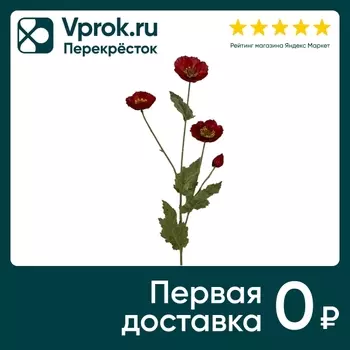 Мак красный 78см - Vprok.ru Перекрёсток