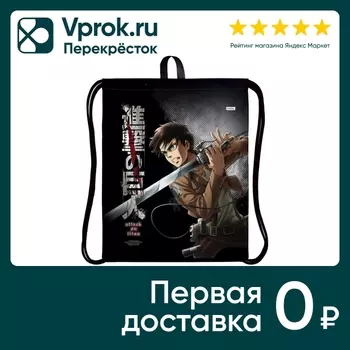 Мешок для сменной обуви Hatber Атака Титанов Сезон 1 41*49см