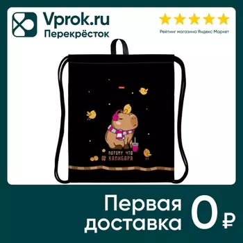 Мешок для сменной обуви Hatber Потому что Капибара 41*49см