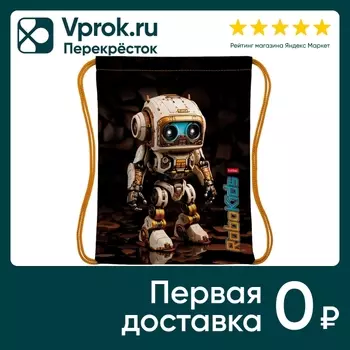 Мешок для сменной обуви Hatber Робо 33*42смс доставкой!