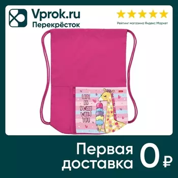 Мешок для сменной обуви Hatber Жирафик 2 отделения 34*41см