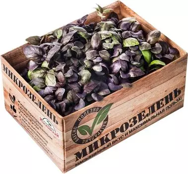 Микрозелень Агрокомбинат Московский Базилик красный 1шт