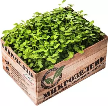 Микрозелень Агрокомбинат Московский Горчица зеленая 1шт