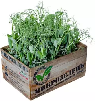 Микрозелень Агрокомбинат Московский Горох 1шт