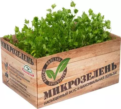 Микрозелень Агрокомбинат Московский Кервель 1шт