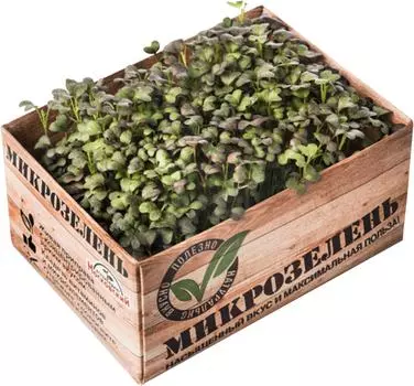 Микрозелень Агрокомбинат Московский Мизуна 1шт