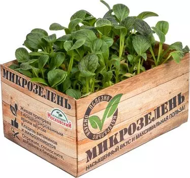 Микрозелень Агрокомбинат Московский Пак-чой 1шт