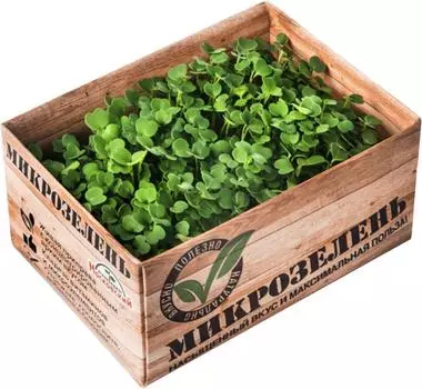 Микрозелень Агрокомбинат Московский Руккола 1шт