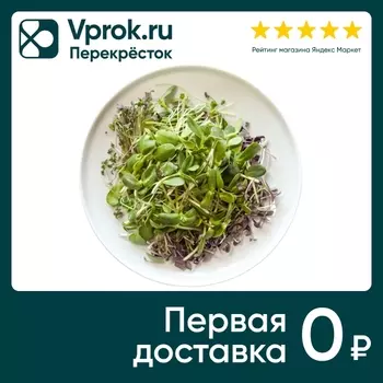 Микс Botanica Farm из микрозелени Салатный 65г