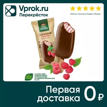 Мороженое Село Зеленое Пломбир с малиной в молочном шоколаде 15% 80г