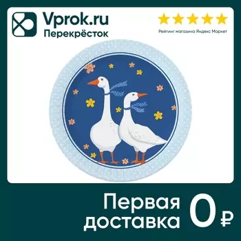 Набор бумажных тарелок ND Play Гуси-2 23см 6шт