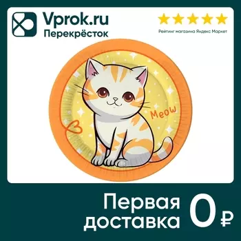 Набор бумажных тарелок ND Play Котик полосатый 23см 6шт
