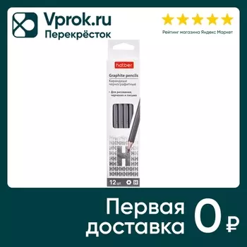 Набор карандашей Hatber Perfect чернографитные H 12шт