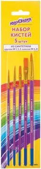 Набор кистей Юнландия 5шт
