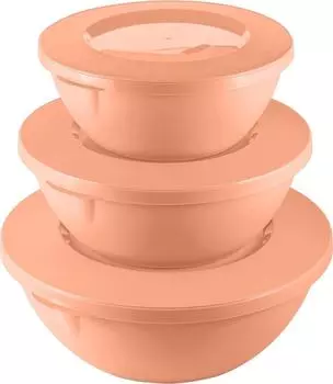 Набор мисок Plast Team Helsinki с крышками 3шт